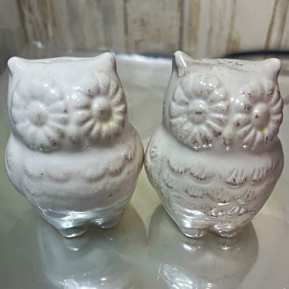Ceramic White Owl Salt & Pepper Shakers  2-Piece Set  Animal Theme